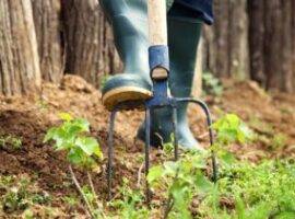 Spring garden concept. Gardener is doing garden work with hay fork. Garden work