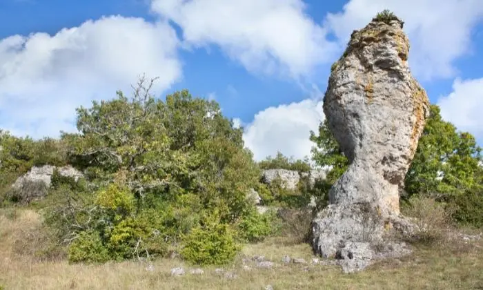 Where to get big rocks for landscaping