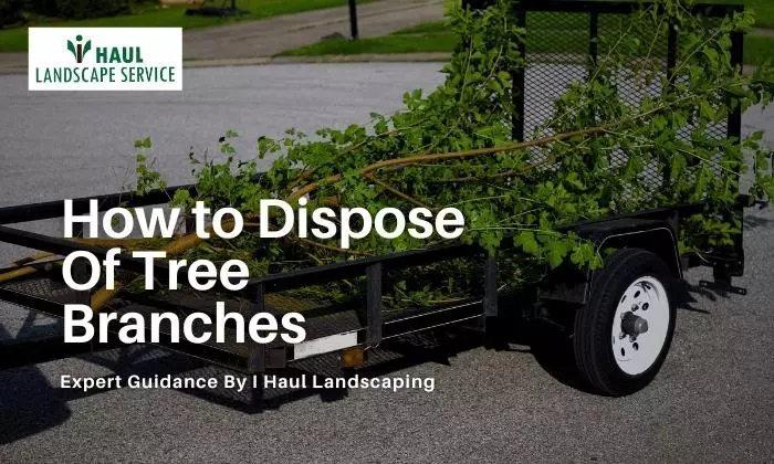 how to dispose of tree branches
