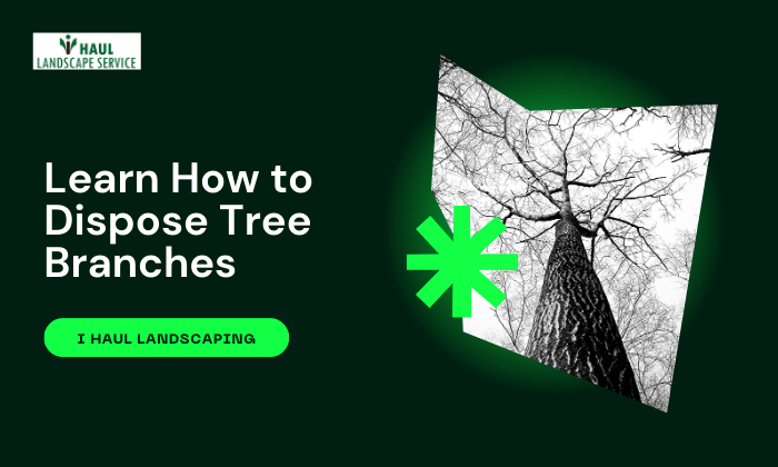 How To Dispose Of Tree Branches