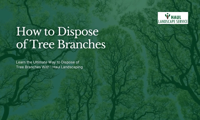 How To Dispose Of Tree Branches