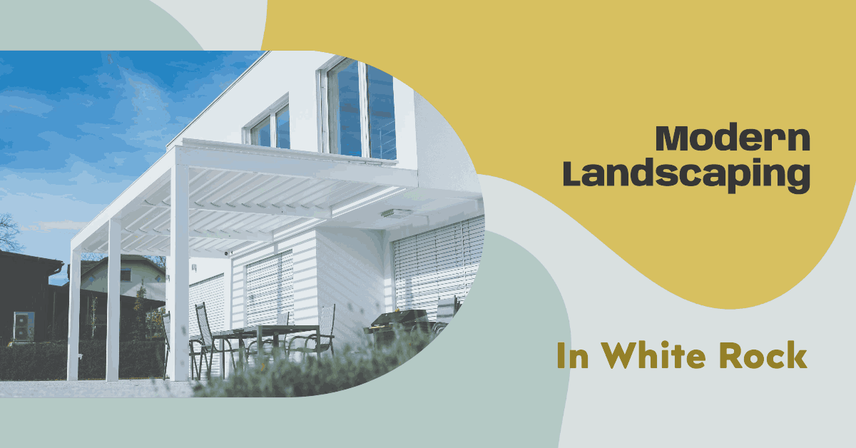 Top Modern White Rock Landscaping Ideas Unveiling Brilliance