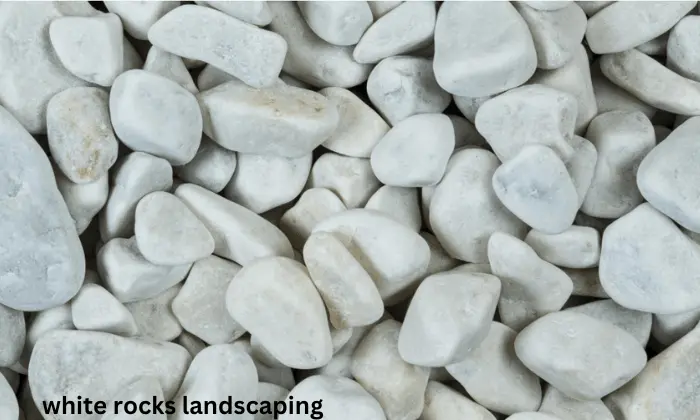 White Rock Landscaping
