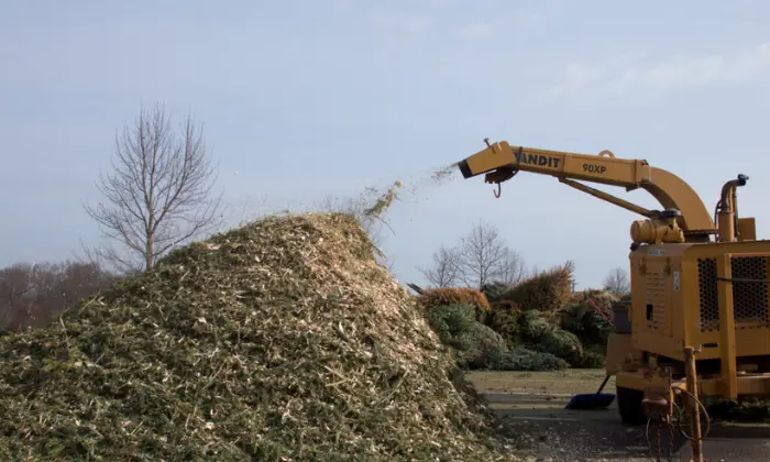 cleanup and disposal