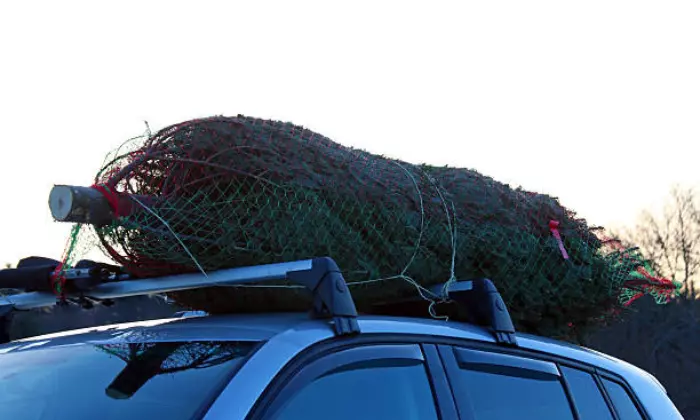 How to Tie Christmas Tree to Car Roof Rack