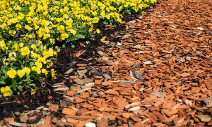 How Thick Should Mulch Be in a Flower Bed?