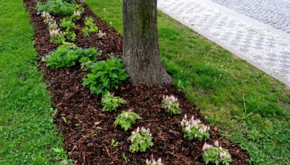 how thick should mulch be