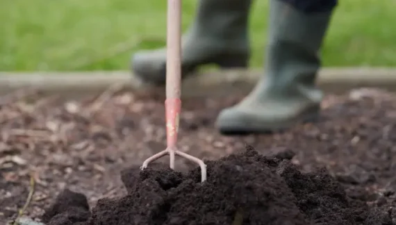 what to do with old mulch