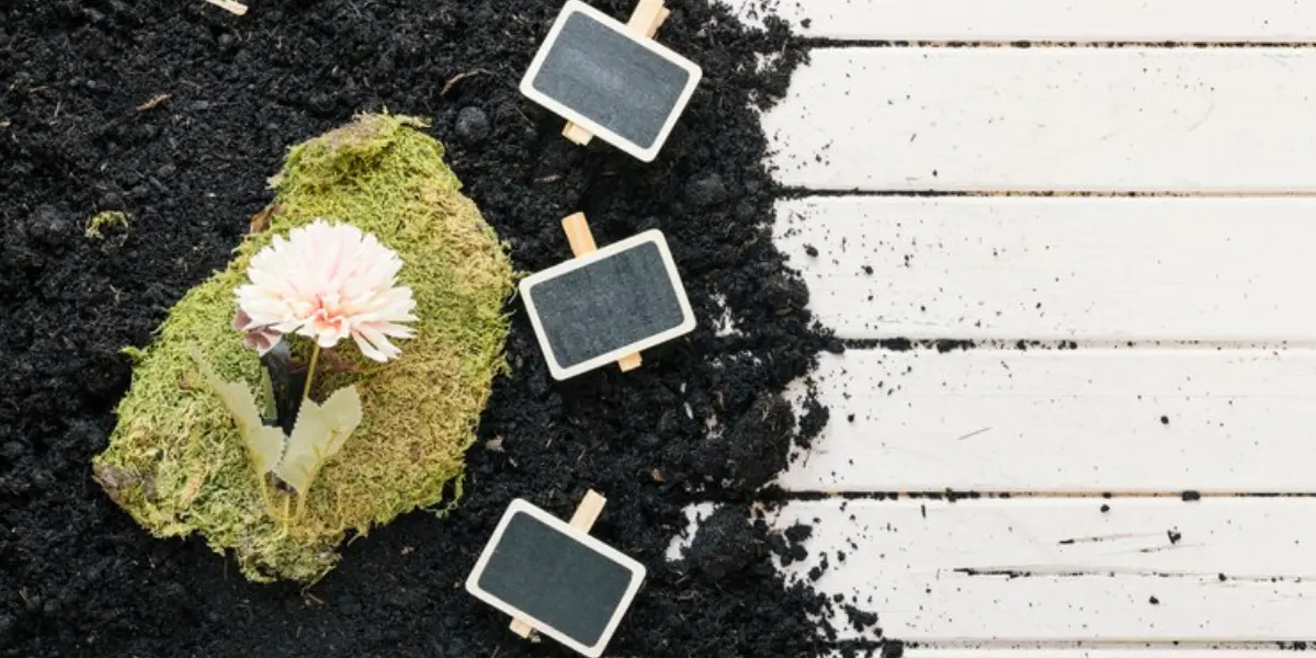 Rubber Mulch vs. Wood Mulch Which is Better for Your Garden?